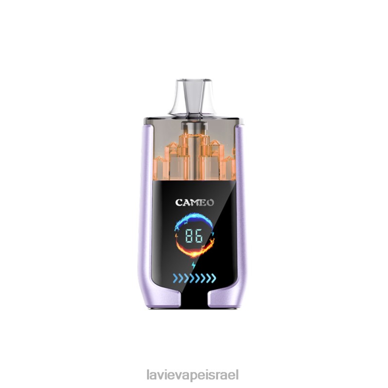 LAVIE Vape Israel - LAVIE CAMEO 30000 שאיפות קרח ענבים 8DBZL16