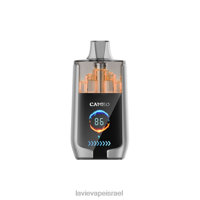 LAVIE Vape Reddit - LAVIE CAMEO 30000 שאיפות קרח אוכמניות 8DBZL15