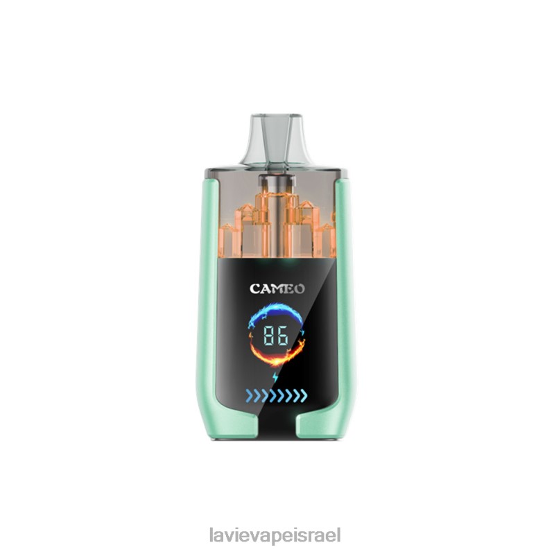 LAVIE Vape Reddit - LAVIE CAMEO 30000 שאיפות תפוח כפול 8DBZL20