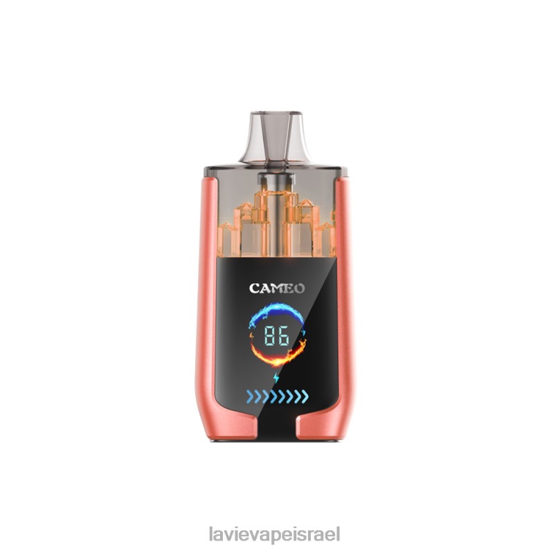LAVIE Vape Review - LAVIE CAMEO 30000 שאיפות אבטיח תות 8DBZL24
