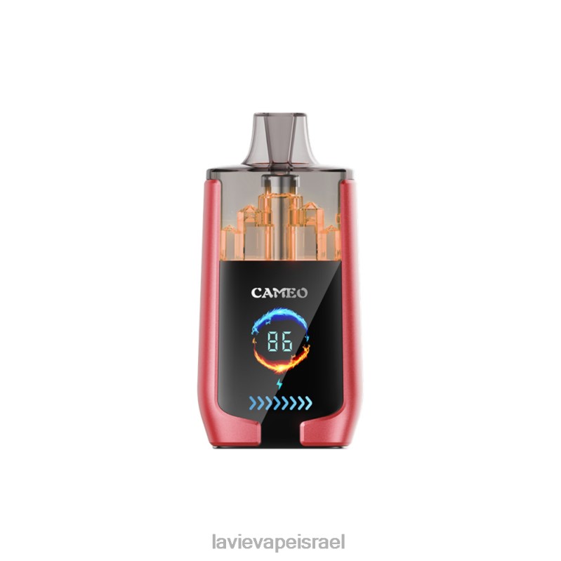 LAVIE Vape Review - LAVIE CAMEO 30000 שאיפות קרח אבטיח 8DBZL14