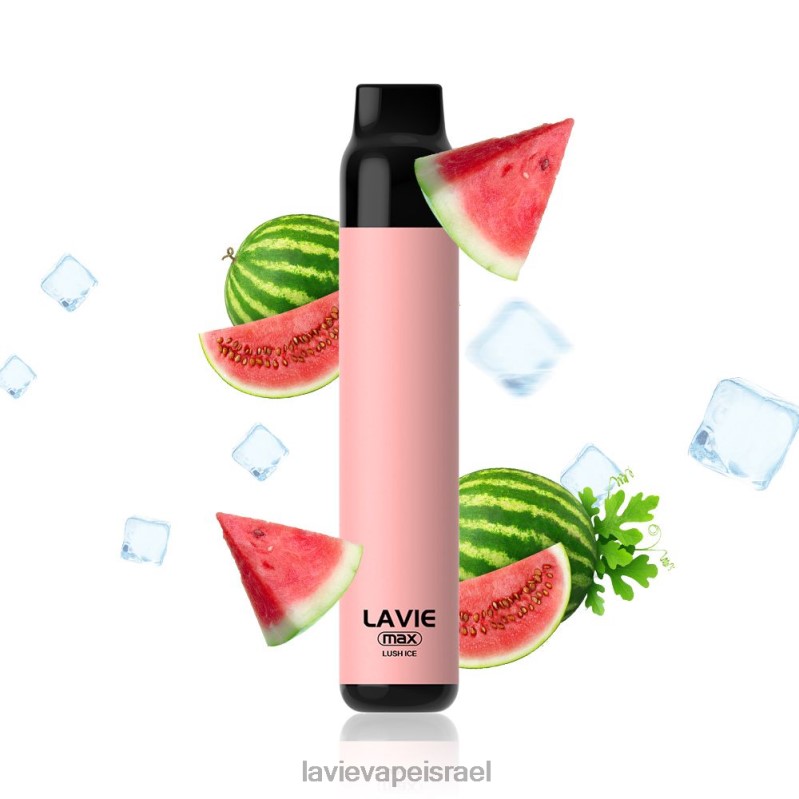 LAVIE יִשְׂרָאֵל - LAVIE BAR 5000 שאיפות - מקסימום קרח שופע 8DBZL277