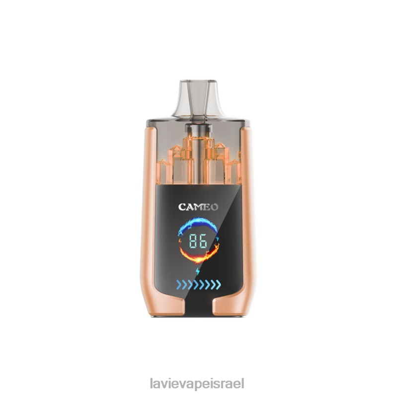 LAVIE יִשְׂרָאֵל - LAVIE CAMEO 30000 שאיפות דוּבדְבָן 8DBZL22