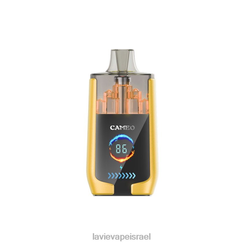 LAVIE Vape Israel - LAVIE CAMEO 30000 שאיפות קרח מנגו 8DBZL21